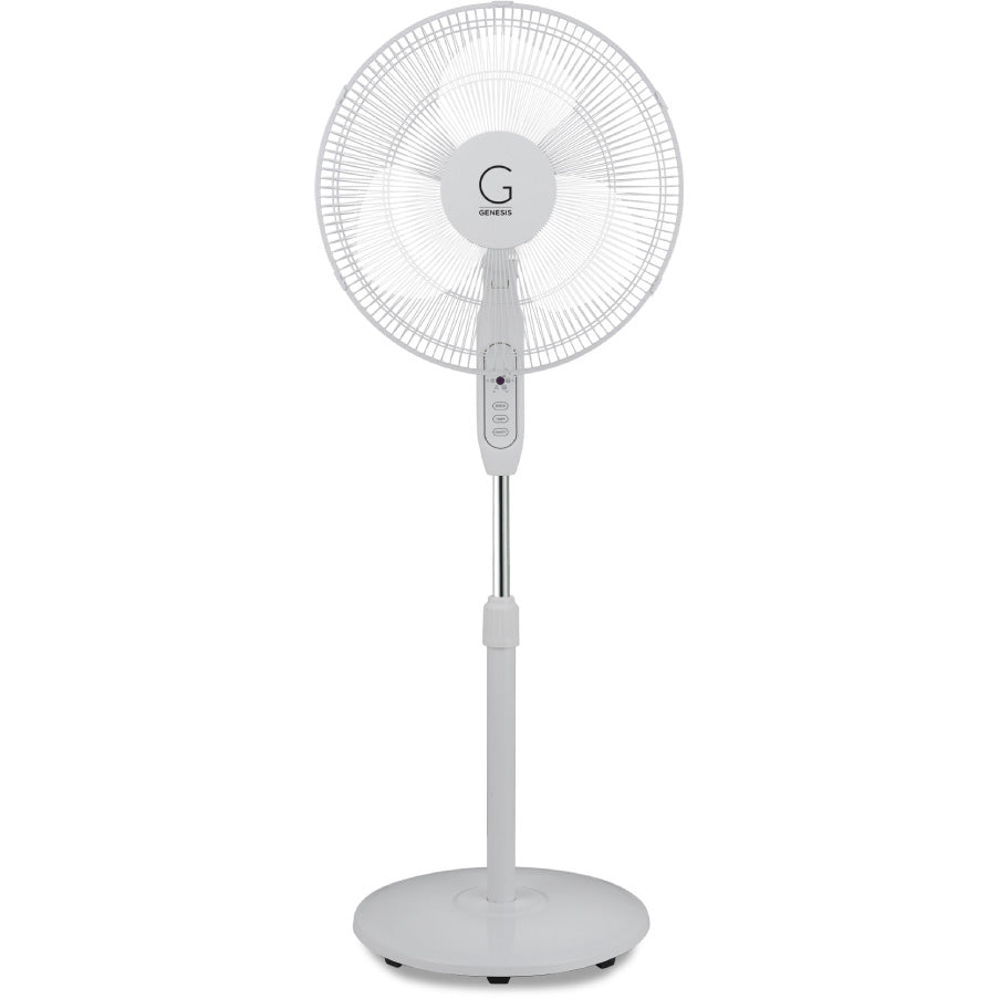 A2 Stand Fan | $39.99 Image